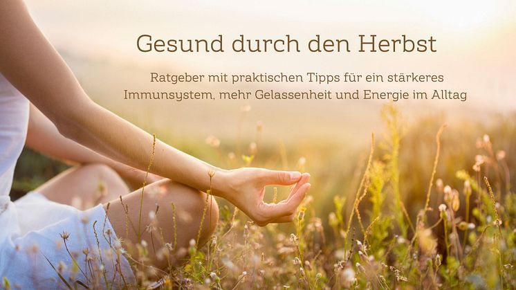 Gesund durch den Herbst: Unsere Ratgeber für ein besseres Immunsystem, mehr Ausgeglichenheit und Energie