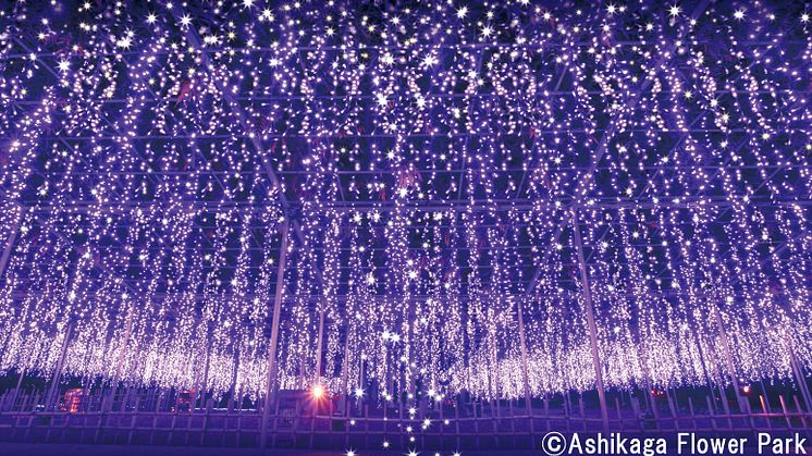A selection of five special winter illumination spots that can be covered with a day trip or an overnight trip from Tokyo