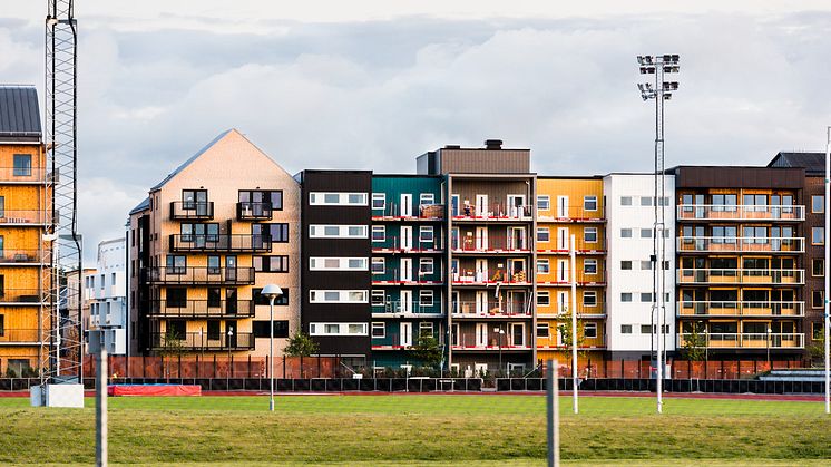 Vallastaden i Linköping, plats för årets bomässa. Foto: Thor Balkhed.