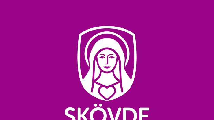 Demokratidag för Skövdes elever