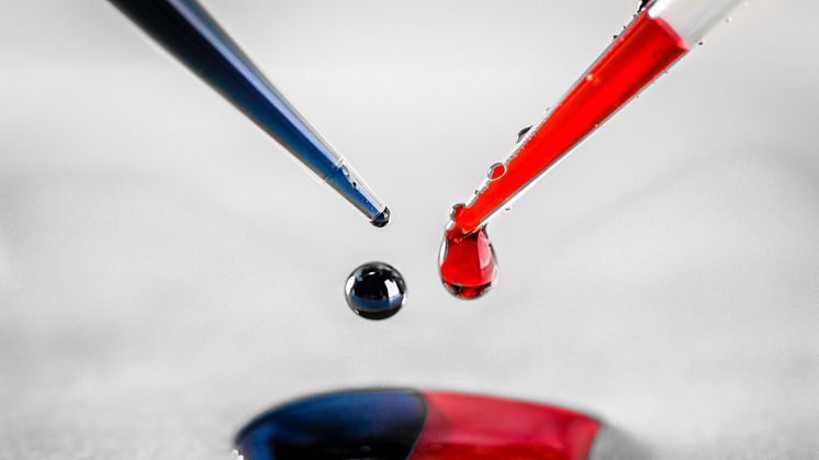 Den blå lösningen är den polymer som donerar elektroner medan den röda är det material som tar upp elektroner. Foto Thor Balkhed.