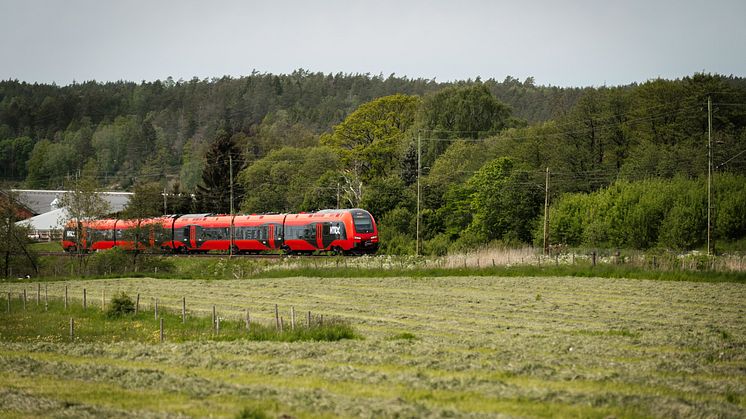 Regeringens nya regler snedvrider konkurrensen