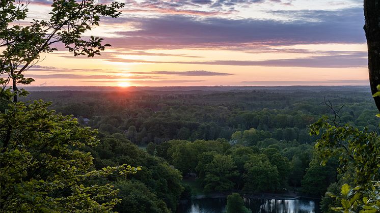 KONFERENS 26 MAJ 2023: CO2-utfasning i den europeiska värmesektorn – Sverige som förebild för hur värmepumpar banar vägen 