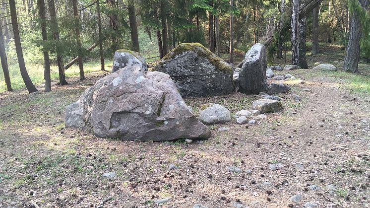 Människorna som begravdes i Ansgarve-graven hade en annan demografisk historia jämfört med samtida jägare-samlare. Foto: Magdalena Fraser 
