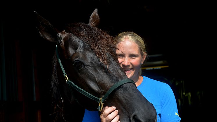 Hambletonian direkt i ATG24 på lördag kväll