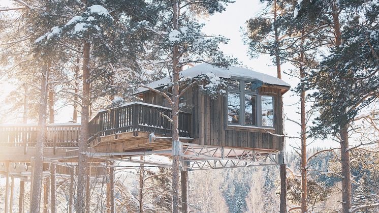 Bird's Nest, Granö Beckasin