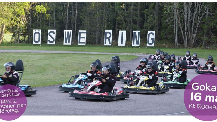 Gokart på ÖS WE Ring