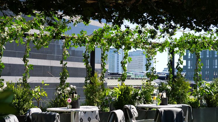 Gröna konceptet Green Hustle av Absolut finner du på Clarion Hotel Sign's takbar Rooftop Garden Bar!