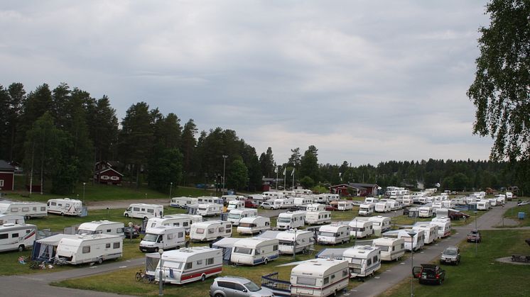 Parasiter skrämmer inte bort turisterna