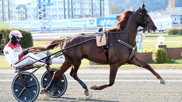 Lionel inbjuden till Elitloppet