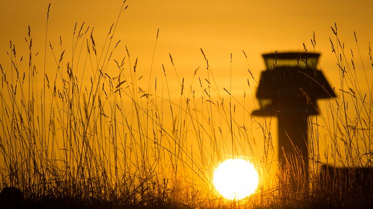 Stockholm Arlanda Airport. Foto: Daniel Asplund