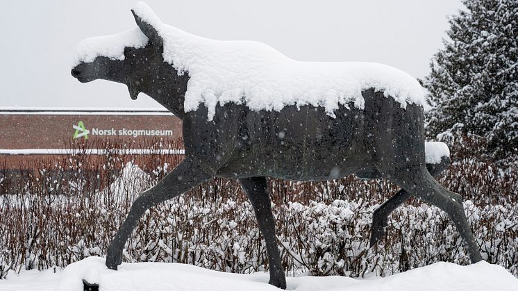 Anno museum har måttet innføre drastiske tiltak for å spare strømkostnader, og stengte tidlig i desember de to store museene i ELverum, Norsk skogmuseum og Glomdalsmuseet. (Foto: Bård Løken)