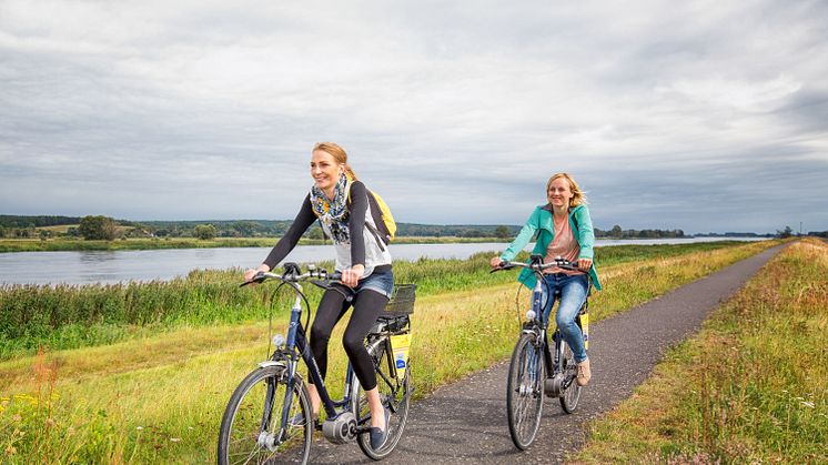 Radfahren wird in Brandenburg „ganz groß geschrieben" wie hier im Oderbruch. Foto: Florian Läufer.