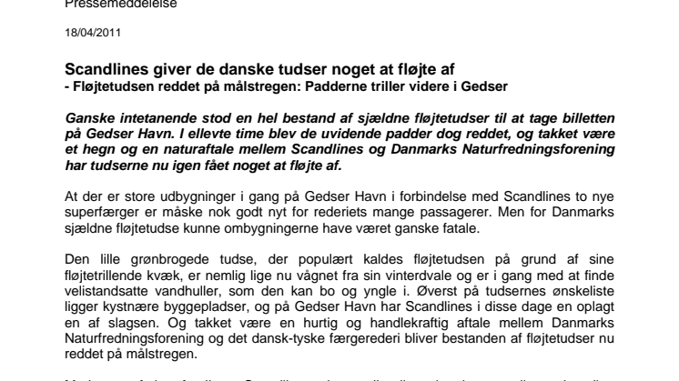 Scandlines giver de danske tudser noget at fløjte af - Fløjtetudsen reddet på målstregen: Padderne triller videre i Gedser