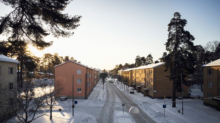 Genrebild. Husen på bilden har inget samband med texten.