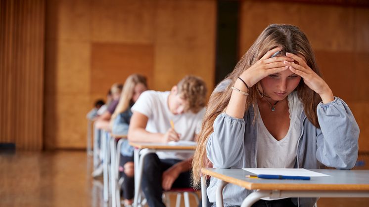 Sveriges Elevkårers utbildning för elevskyddsombud går bland annat igenom varför det är viktigt med ett fungerande arbetsmiljöarbete på skolan, vad fysisk och psykosocial arbetsmiljö innebär och vad lagen säger kring arbetsmiljö i skolan.