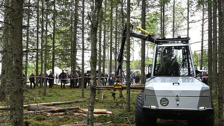 Skogen i Bratteborg är klassisk mark för Elmias skogsmässor och har mycket goda förutsättningar för ett nytt skogsevent.