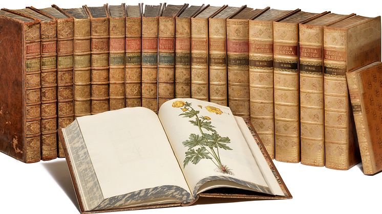 G.C. Oeder: Flora Danica. København 1761–1883. Komplet med 3240 originale håndkolorerede plancher. Vurdering: 300.000-400.000 kr. 