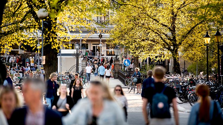 Informationssatsningen förväntas nå stora delar av Sveriges befolkning. Foto: Kicki Nilsson