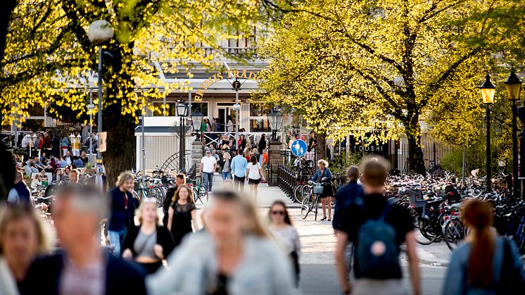 På länsstyrelsernas gemensamma webbplats ​informationsverige.se finns nu anpassad information om covid-19 för utlandsfödda och nyanlända.