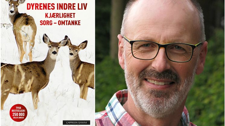 Peter Wohllebens nye bok, Dyrenes indre liv, gir et fascinerende innblikk i følelseslivet til dyr.