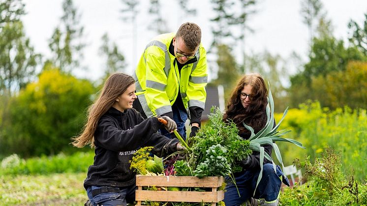 Elever på Naturbruksskolan Sötåsen i Töreboda. Foto: Richard Cederfjärd 