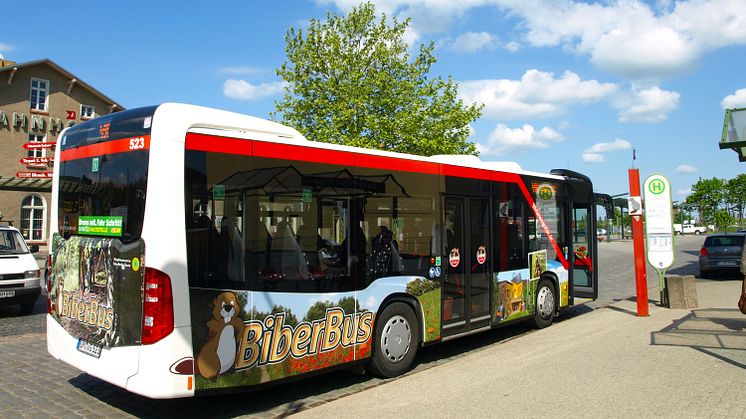 Der BiberBus der Uckermärkischen Verkehrsgesellschaft verbindet täglich auf zwei Routen touristische Highlights rund um Angermünde (Foto: Tourismusverein Angermünde)