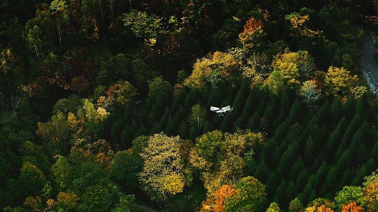 A Laser-Guided Eye in the Sky Digitally Mapping Japan’s Forests Yamaha Motor Newsletter(Jan. 31, 2022 No. 95)