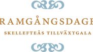 Inbjudan till drakuppvisning i Skellefteå