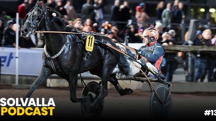 Milliondollarrhyme vinner Svenskt Mästerskap på Åbytravet. Foto: TR Bild