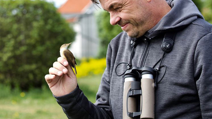 Niklas Aronsson, författare till Fågelmatning - Allt du behöver veta, samt chefredaktör för BirdLife Sveriges medlemstidning Vår Fågelvärld.