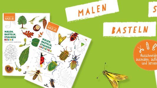 Malen, Basteln, Staunen - Die neuen Mitmachbücher rund um das Thema Natur 