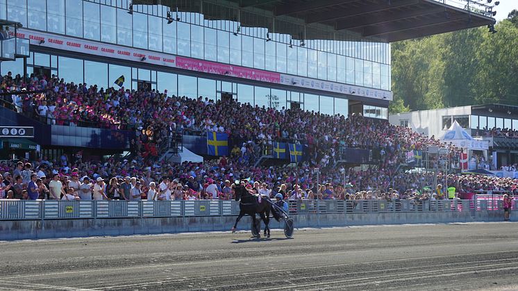 En säker publikplats med hög trivsel är målet för Elitloppet 2022. Foto: Solvalla