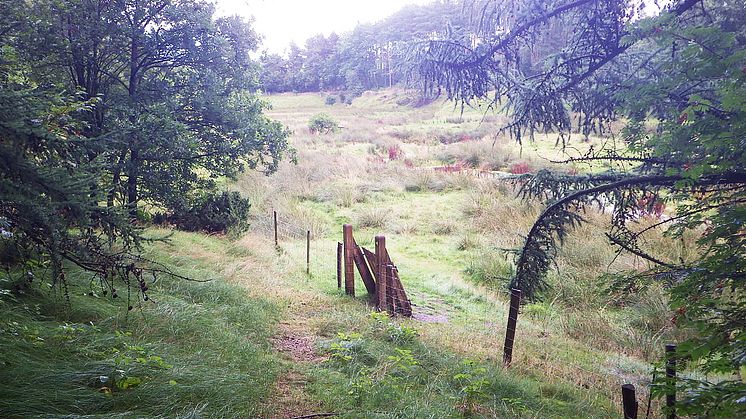 Mastrup Søndersti ved Støvring