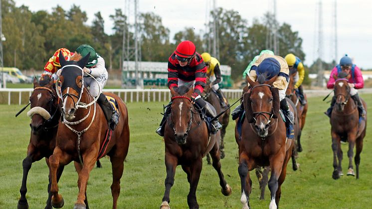 Hard One To Please (grön/vit dress) vinner Stockholm Cup International (Gr.3) på Bro Park. Foto: Steven Cargill