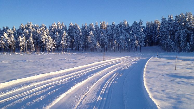 Vasaloppet ski trails between Sälen and Mora are now ready
