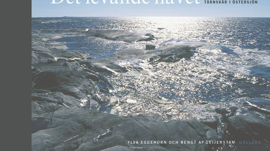 Ny naturfotobok: Det levande havet -- Tärnskär i Östersjön