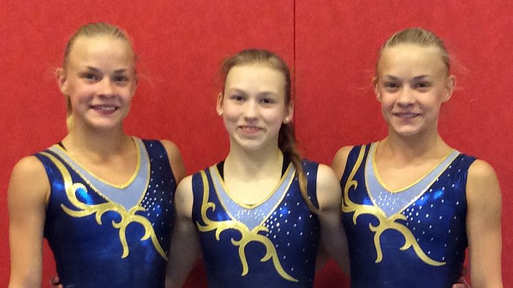 Fyra svenska gymnaster till Europeiska Ungdoms-OS i Tbilisi
