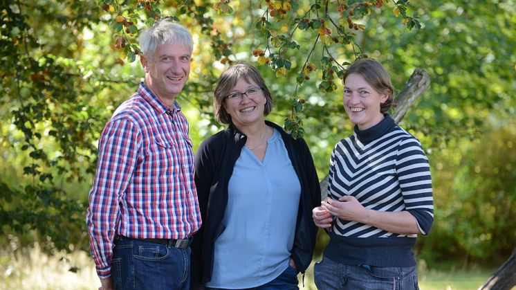 Lars, Ebba och Susanne i samtal om nya äventyr och uppdrag. Foto: Structor