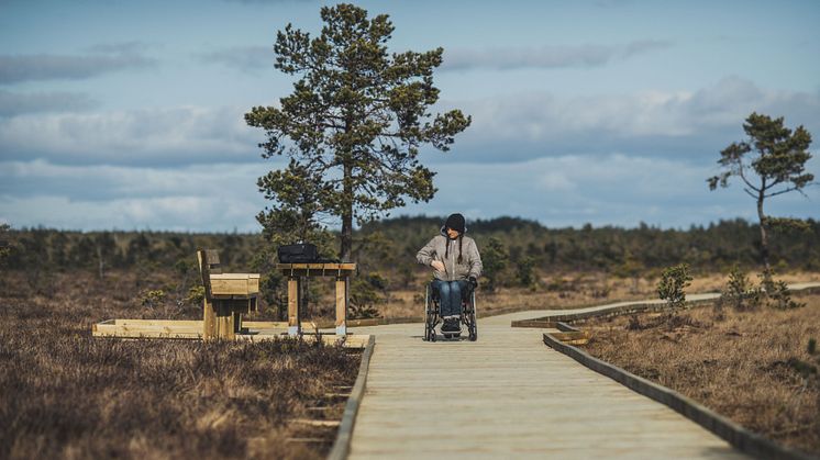 Välbyggda spänger på Dumme Mosse är ett gott exempel på tillgänglighetsåtgärder i Jönköping.