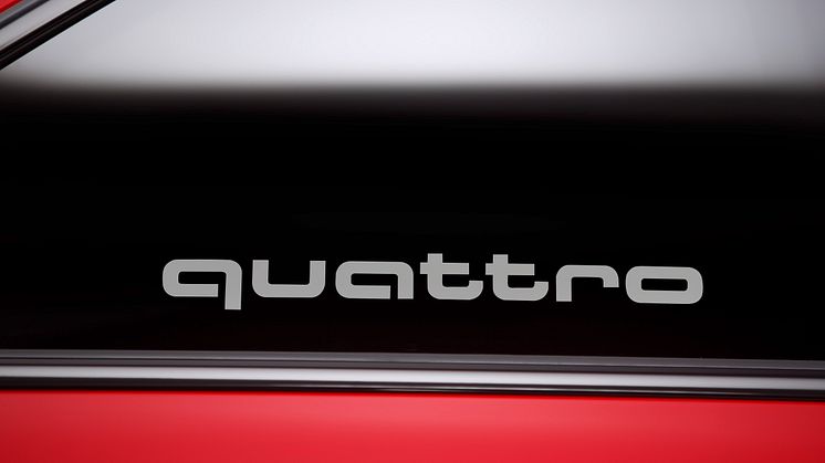 A5 DTM selection - quattro logo i siderude