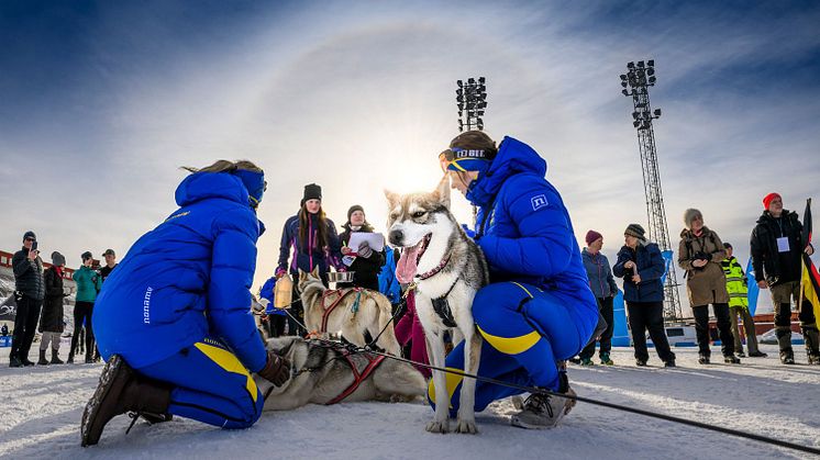 Hundspanns-VM i Östersund 2022