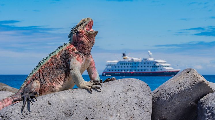 Hurtigruten Group fortsetter sin globale vekst. Foto: Dennis Ballesteros