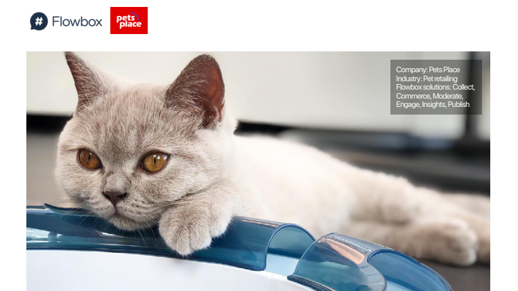 Pets Place makes your cat famous with UGC
