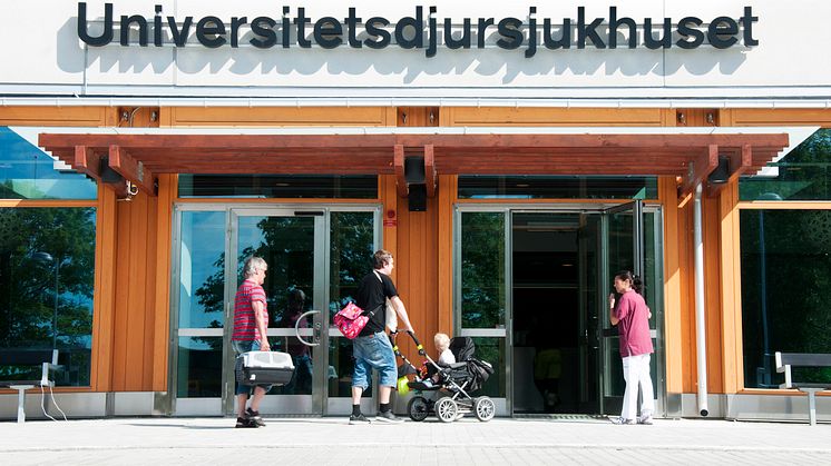 Universitetsdjursjukhuset har öppnat i nya lokaler