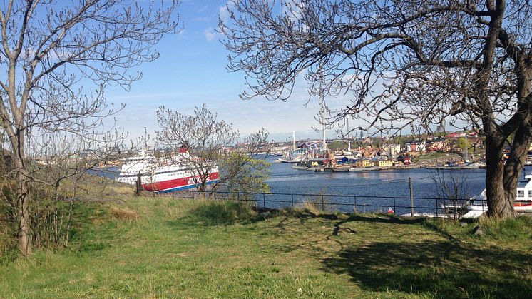 Vårdträd och plakett till minne av Per Anger