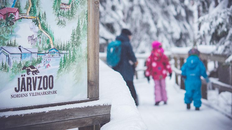 En spännande nyhet inför jullovet är LOAs Paketjakt på Vildmarksparken Järvzoo.