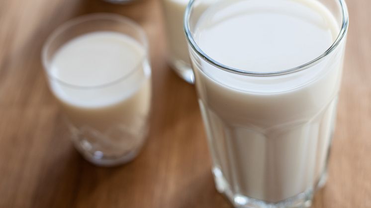 Inför Skolmjölkens dag 27 september:  Indragen skolmjölk saknar folkligt stöd
