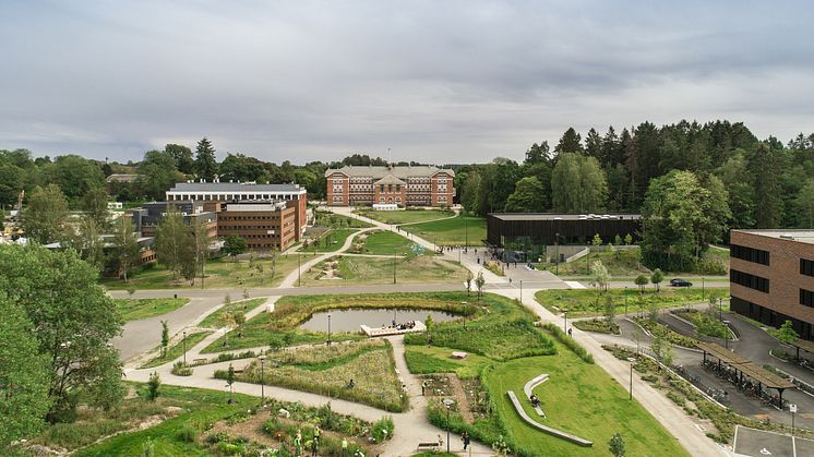Campus Ås - Oversiktsbilde