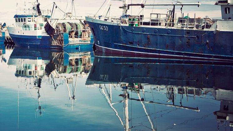 HaV stänger fiske i Skagerrak för att skydda ungfisk